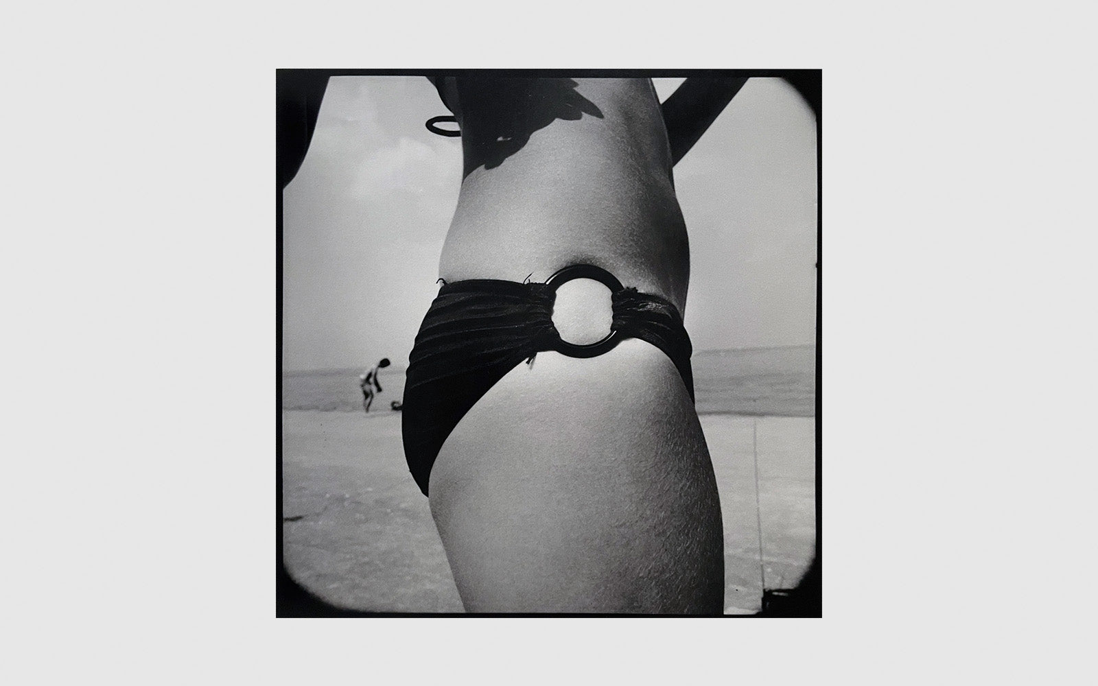 FAW, product: Beach (Fig. 2)