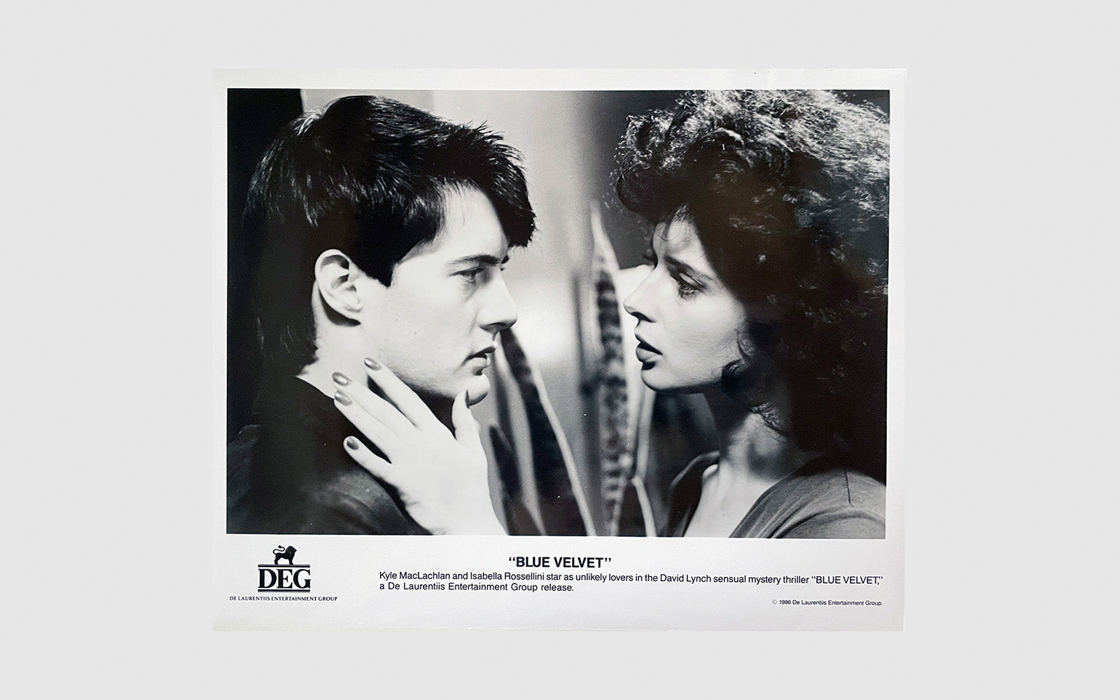 FAW, product: Blue Velvet press photo (Fig. 1)