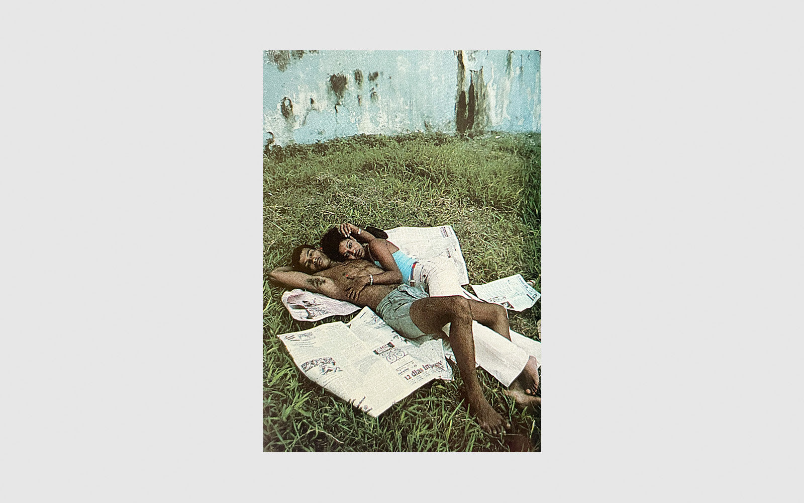 FAW, product: Brasile i colori della giogia (Fig. 3)