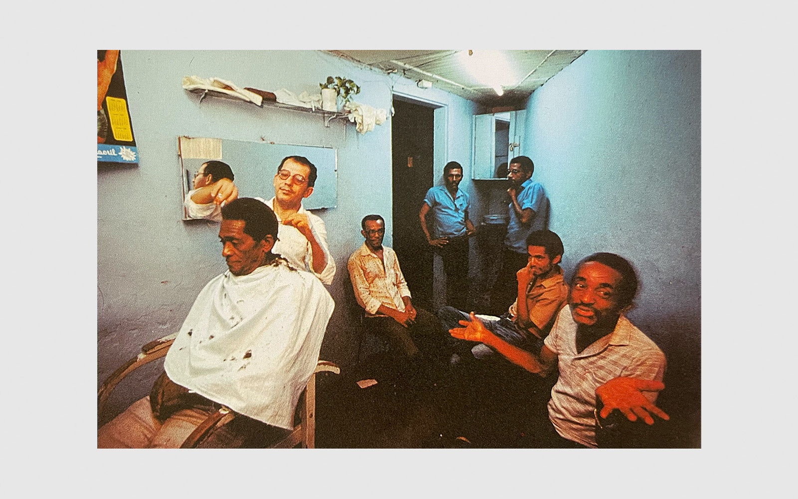 FAW, product: Brasile i colori della giogia (Fig. 8)