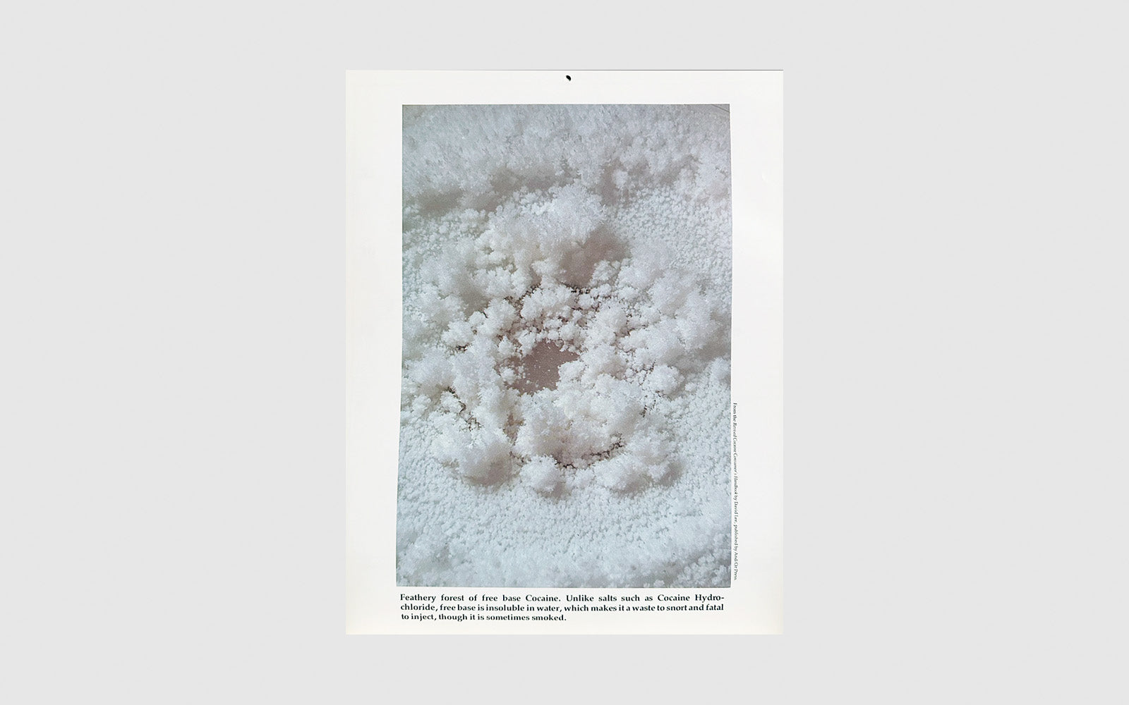 FAW, product: 1980 Cocaine Calendar (Fig. 5)
