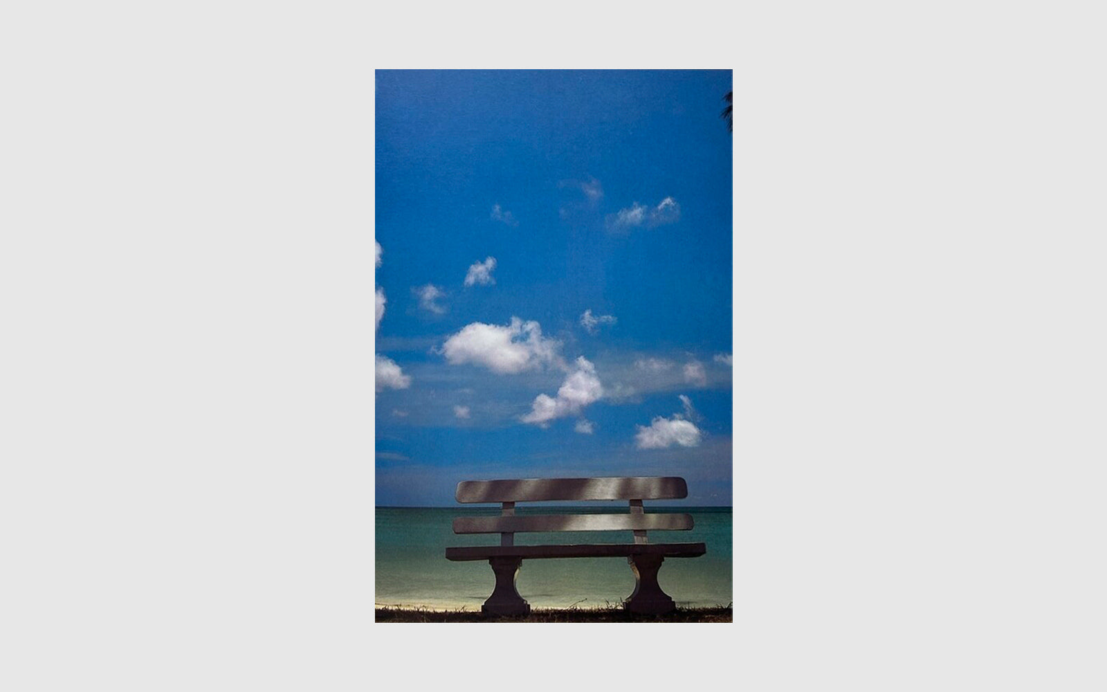 FAW, product: COCONUTS (Fig. 8)