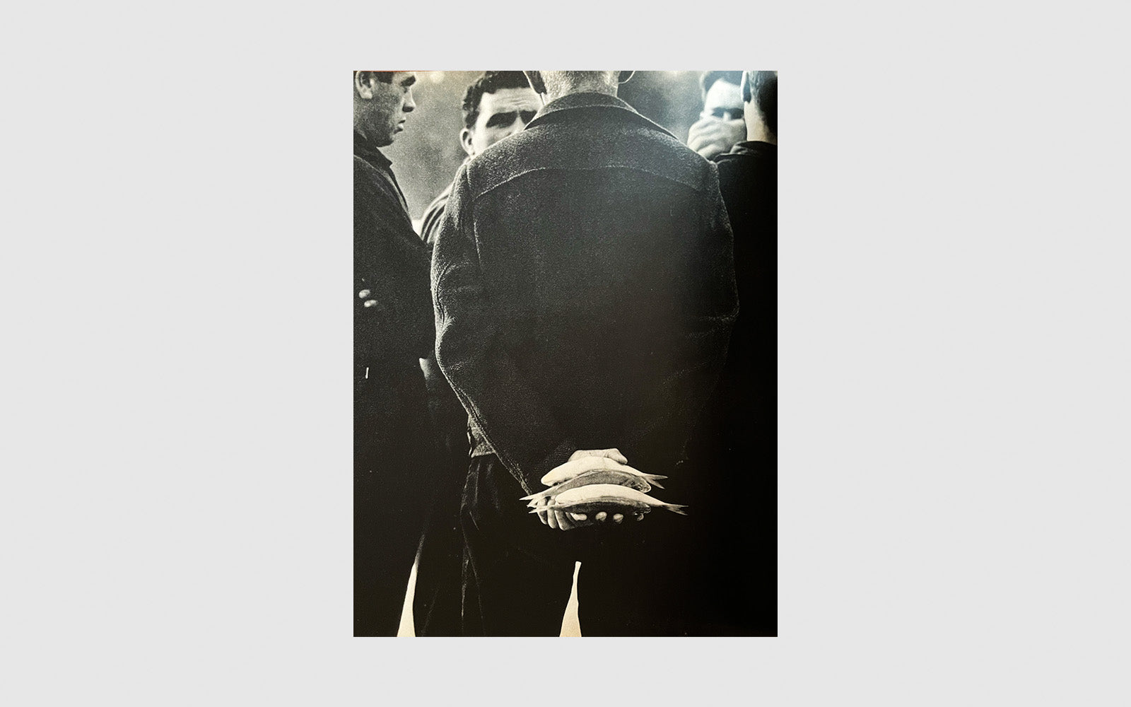 FAW, product: Costa Brava Show (Fig. 5)