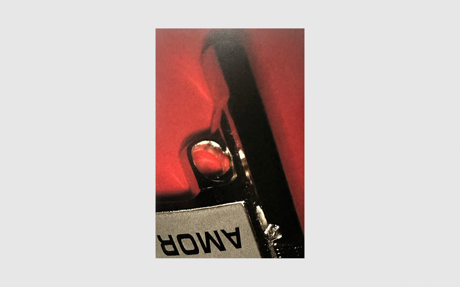 FAW, product: Paris Photo by David Lynch (Fig. 3)