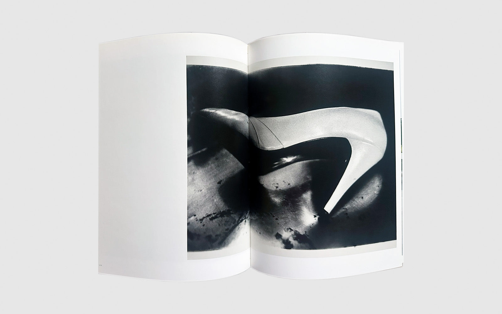 FAW, product: Paris Photo by David Lynch (Fig. 5)