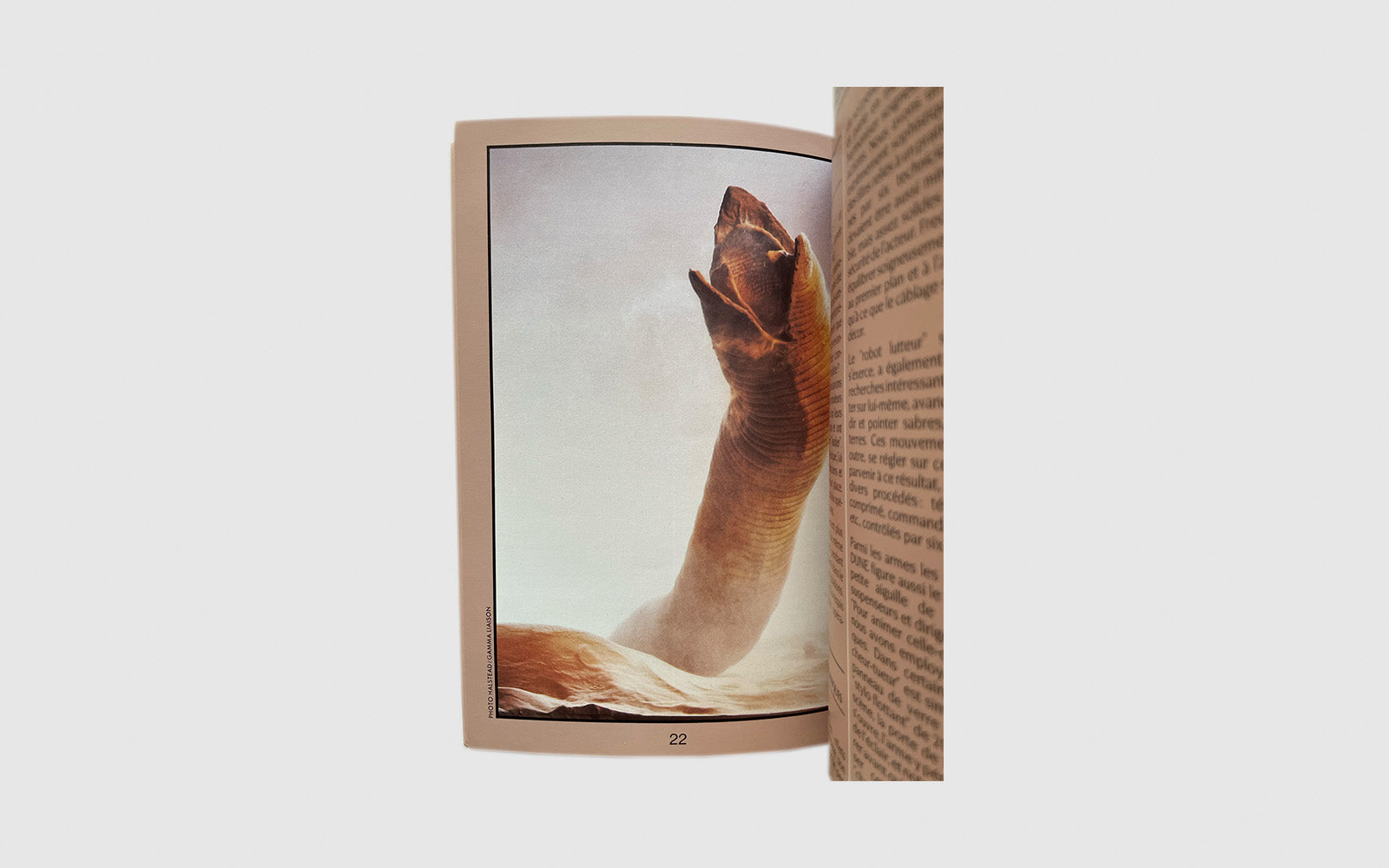 FAW, product: DUNE (Fig. 4)