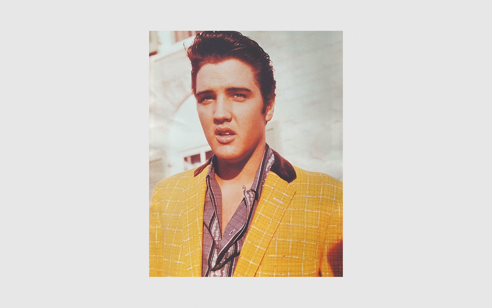FAW, product: Elvis at Graceland (Fig. 7)