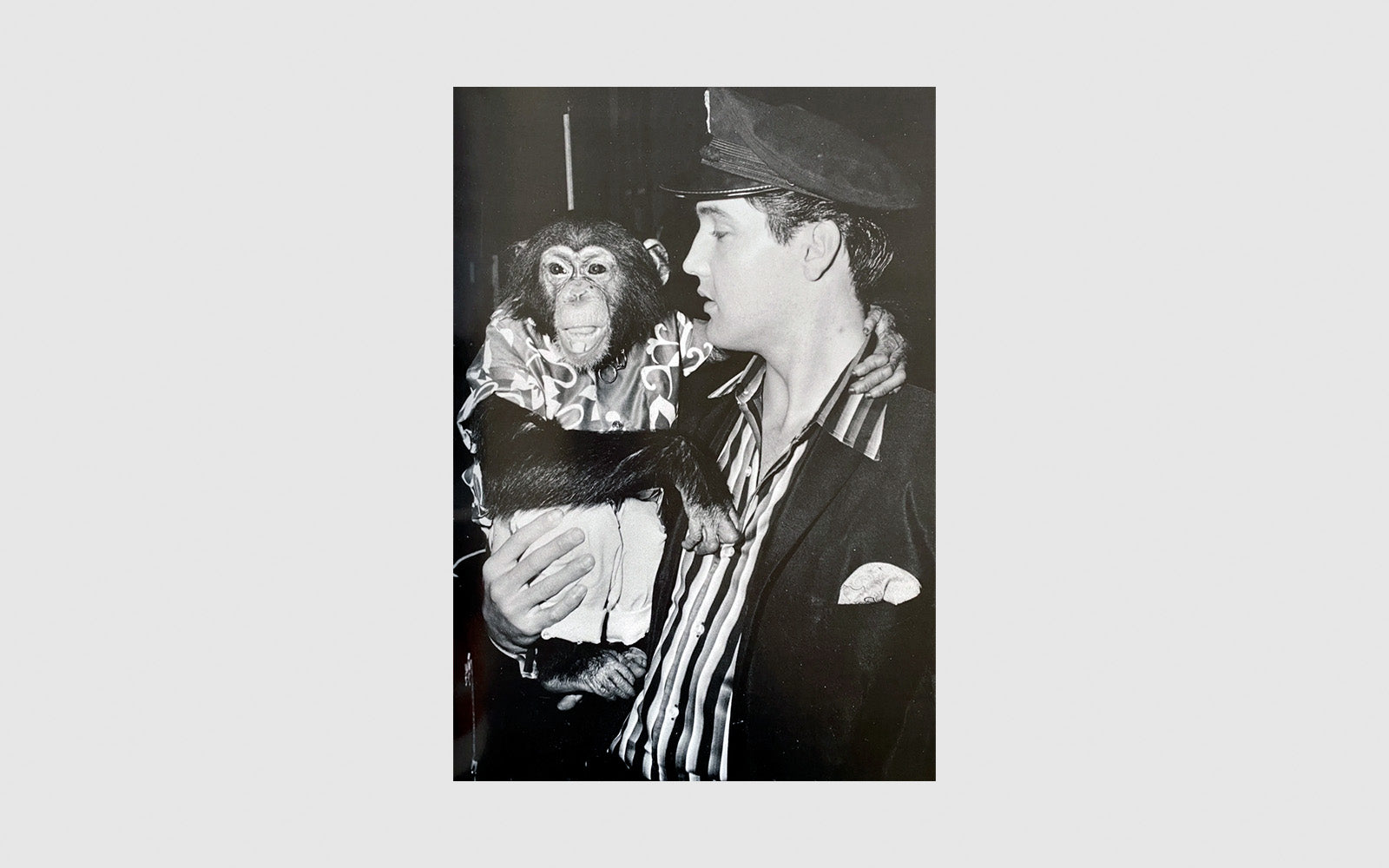 FAW, product: Elvis at Graceland (Fig. 5)