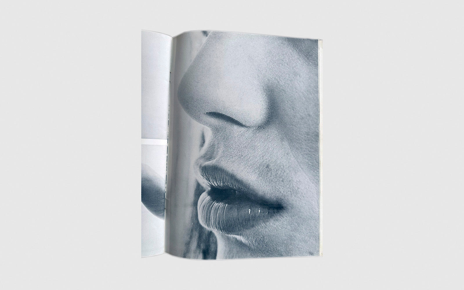 FAW, product: Emmanuelle le magazine du plaisir · Birkin by Gainsbourg (Fig. 5)