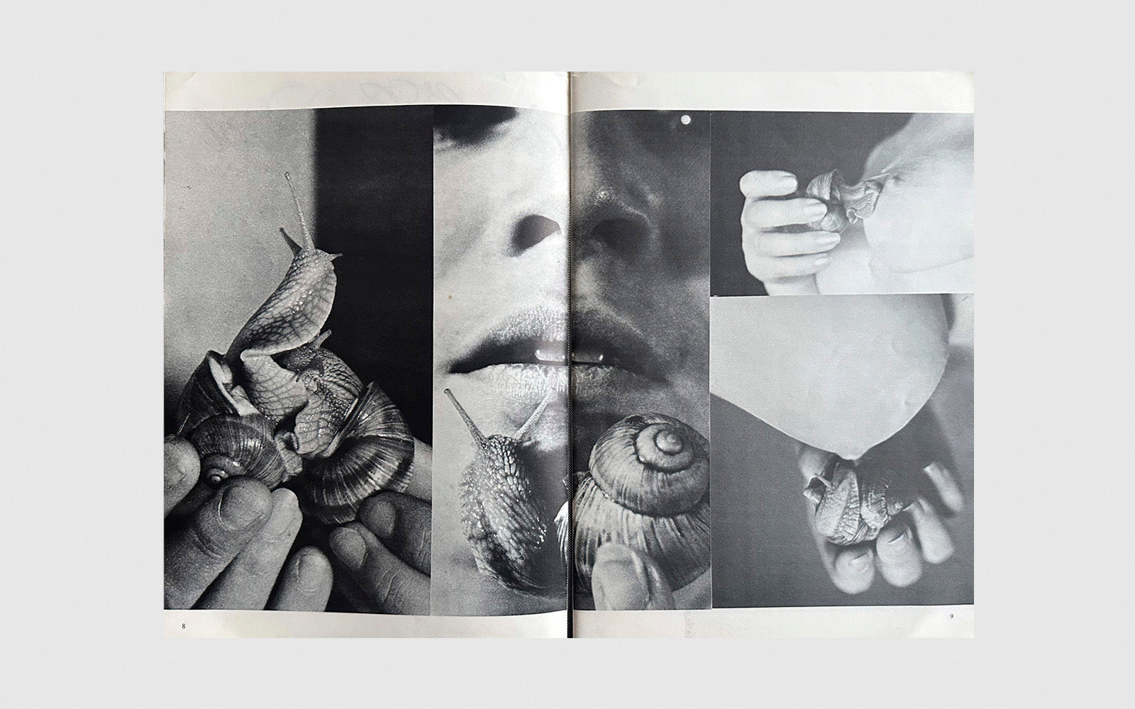 FAW, product: Emmanuelle le magazine du plaisir · Birkin by Gainsbourg (Fig. 8)