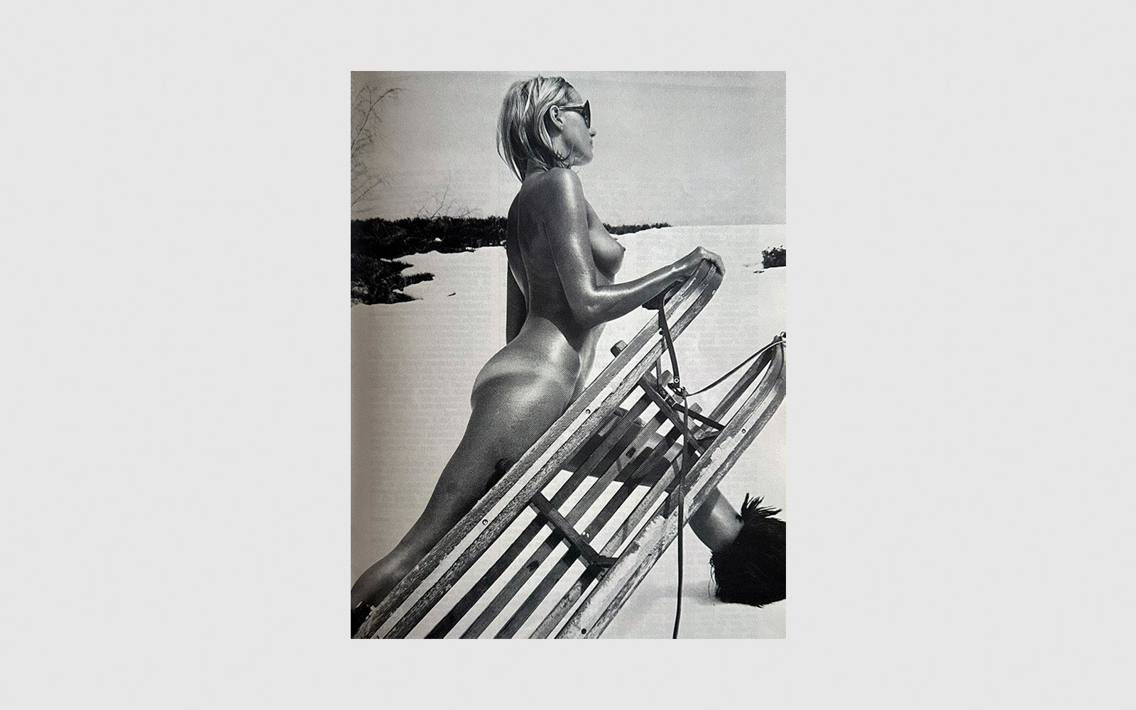 FAW, product: Emmanuelle le magazine du plaisir · Birkin by Gainsbourg (Fig. 7)