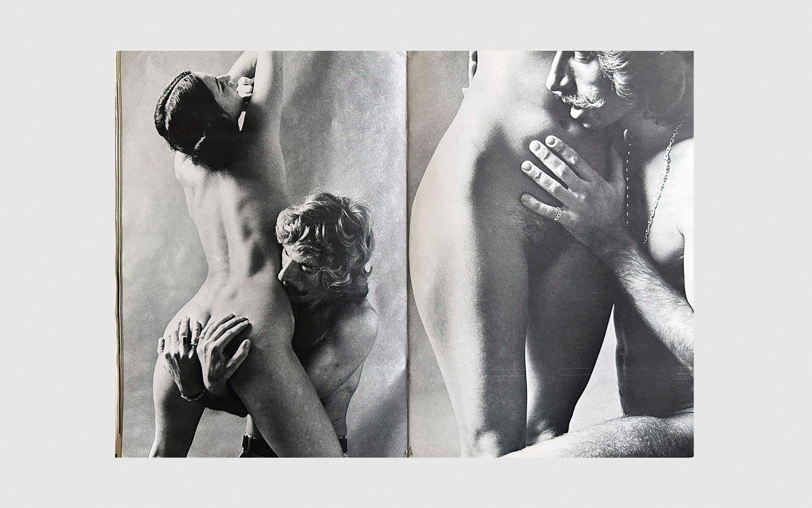 FAW, product: Emmanuelle le magazine du plaisir · Birkin by Gainsbourg (Fig. 9)