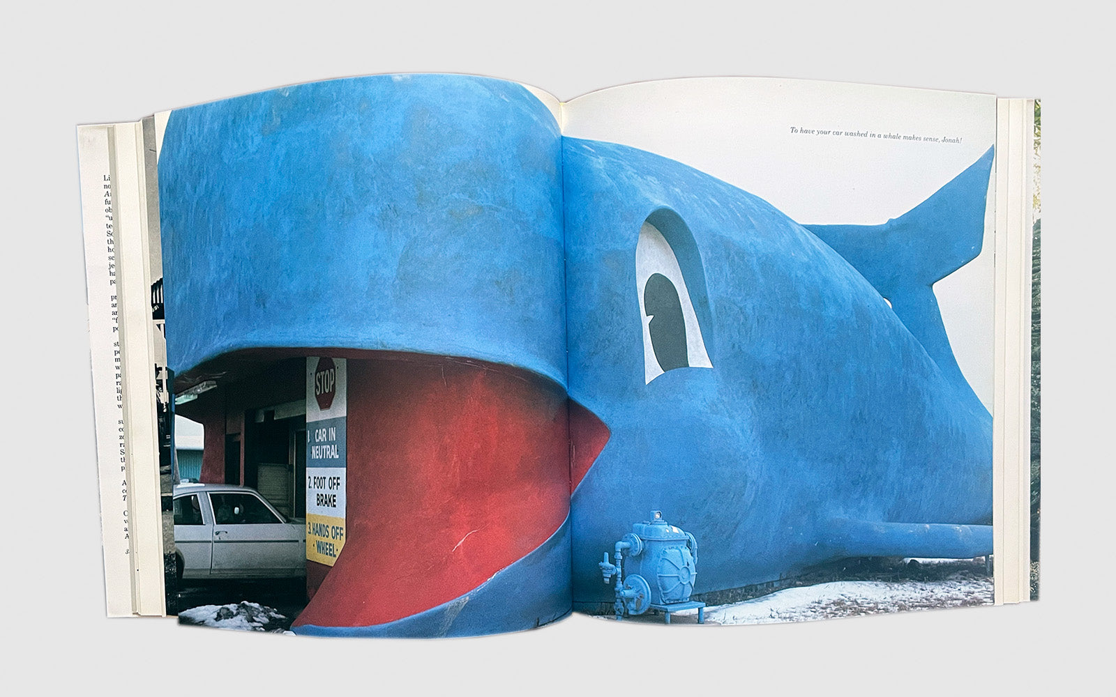 FAW, product: Fantastic Architecture: Personal and Eccentric Visions (Fig. 2)