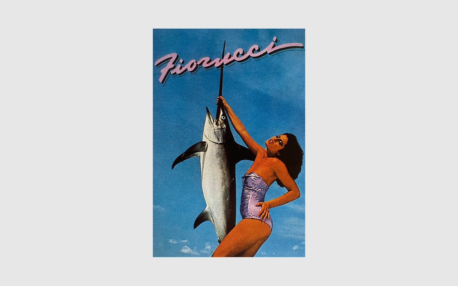 FAW, product: Fiorucci Diario Scolastico (Fig. 9)