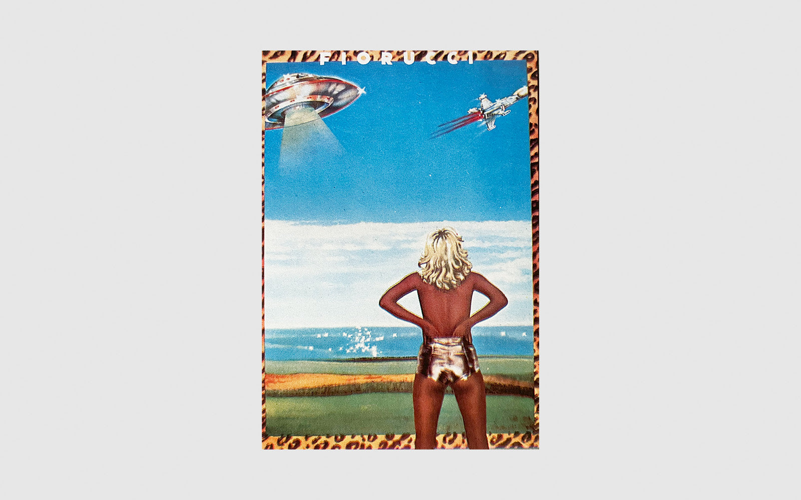 FAW, product: Fiorucci Diario Scolastico (Fig. 4)