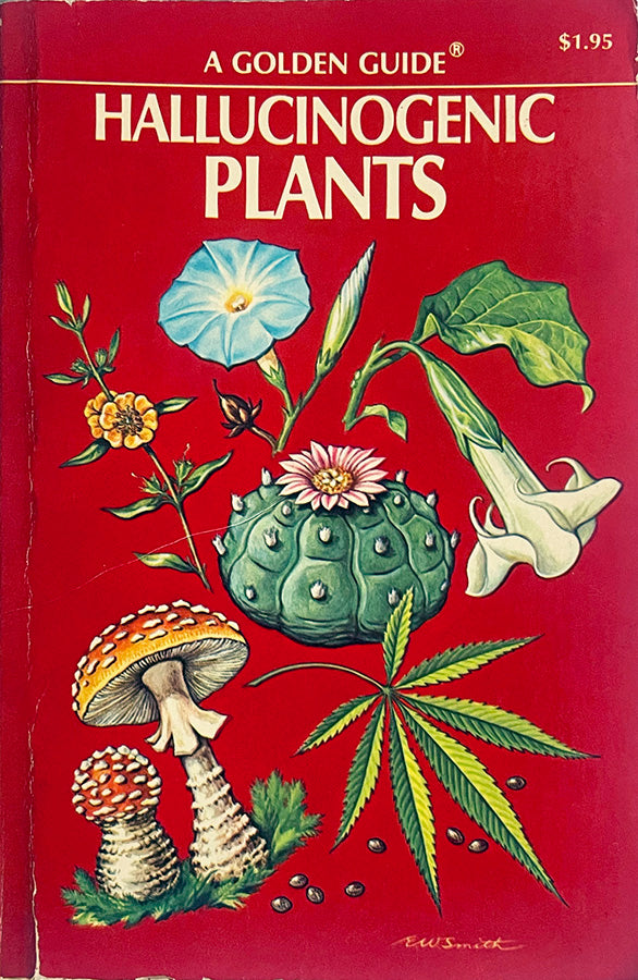 FAW, product: Hallucinogenic Plants (Thumbnail)