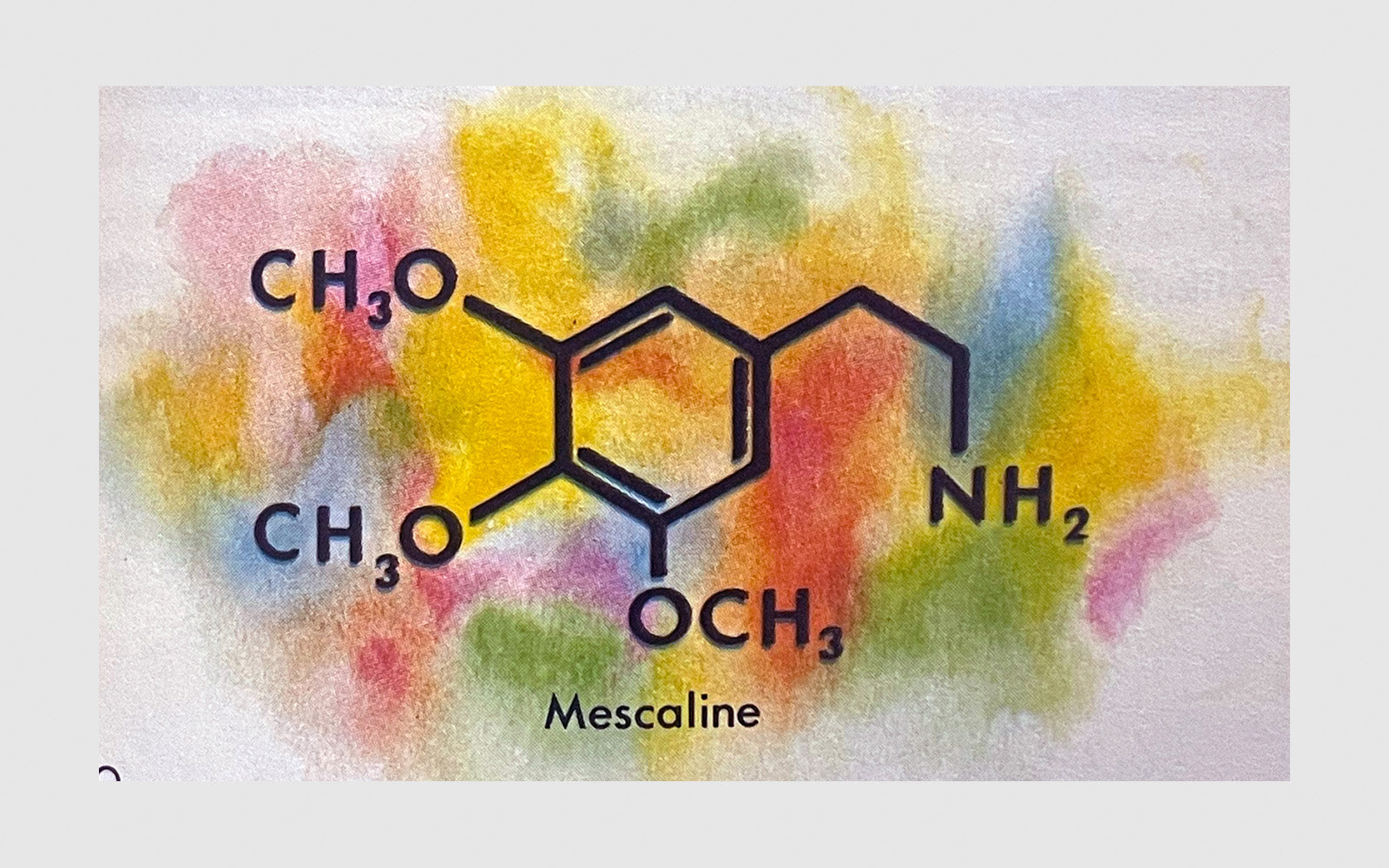 FAW, product: Hallucinogenic Plants (Fig. 4)