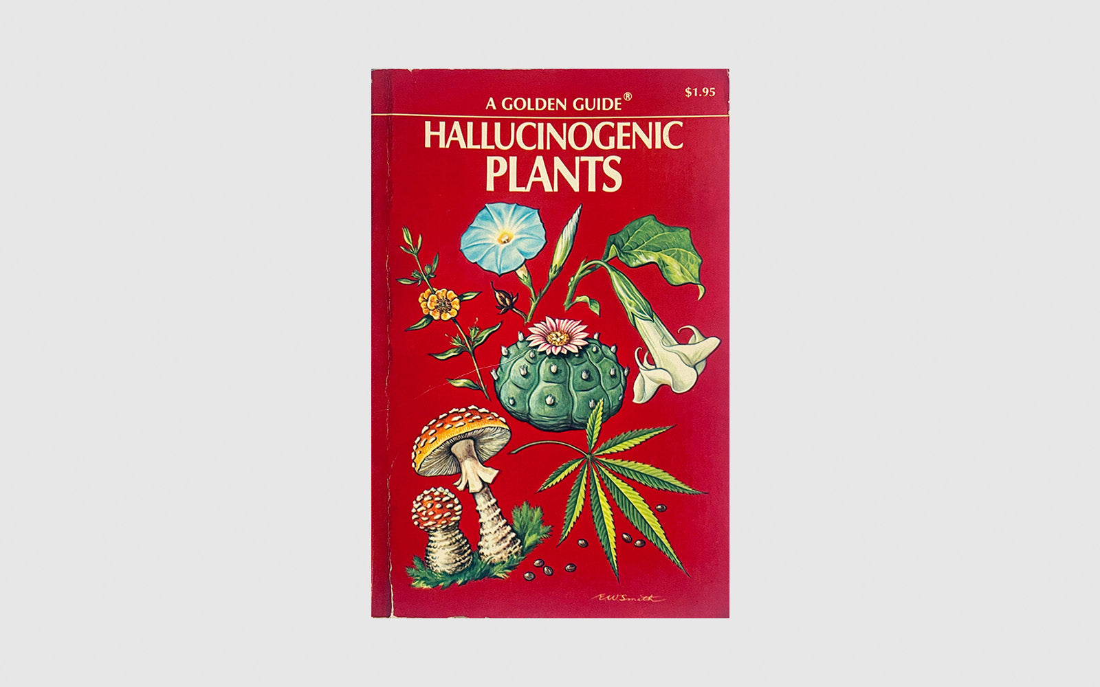 FAW, product: Hallucinogenic Plants (Fig. 1)