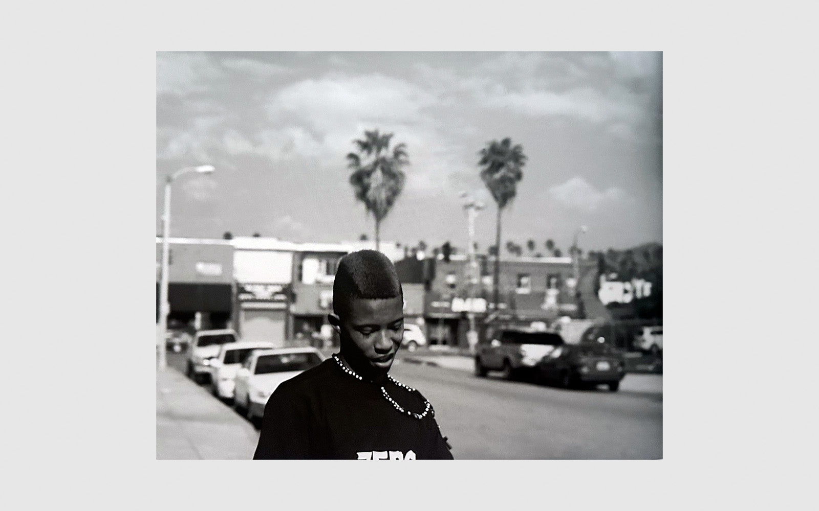 FAW [Hedi Slimane · Stern Portfolio No62 - FAW Books]