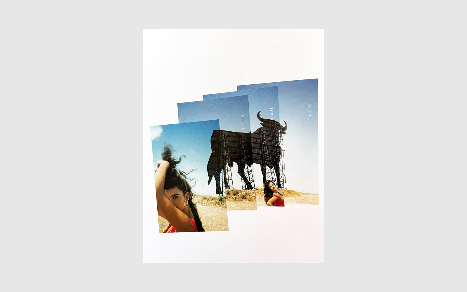 FAW, product: Iberian Portraits (Fig. 2)