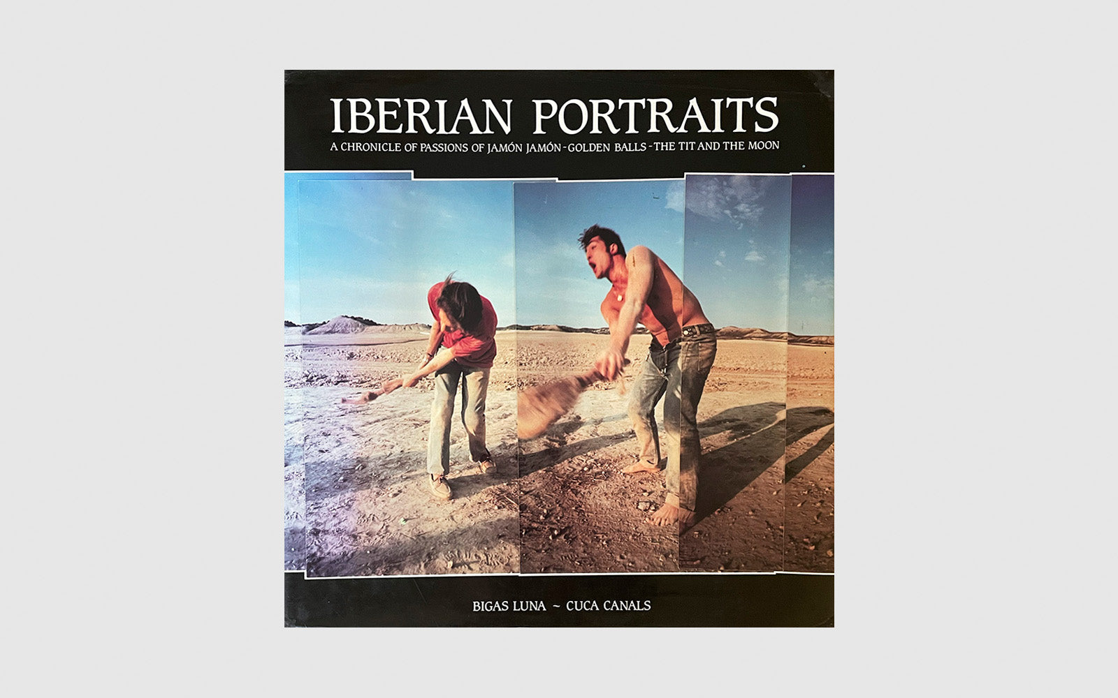 FAW, product: Iberian Portraits (Fig. 1)