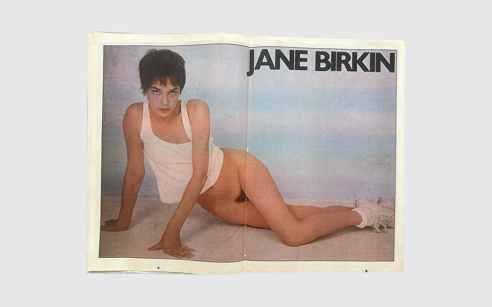 FAW, product: Esta es mi vida Jane Birkin (Fig. 4)