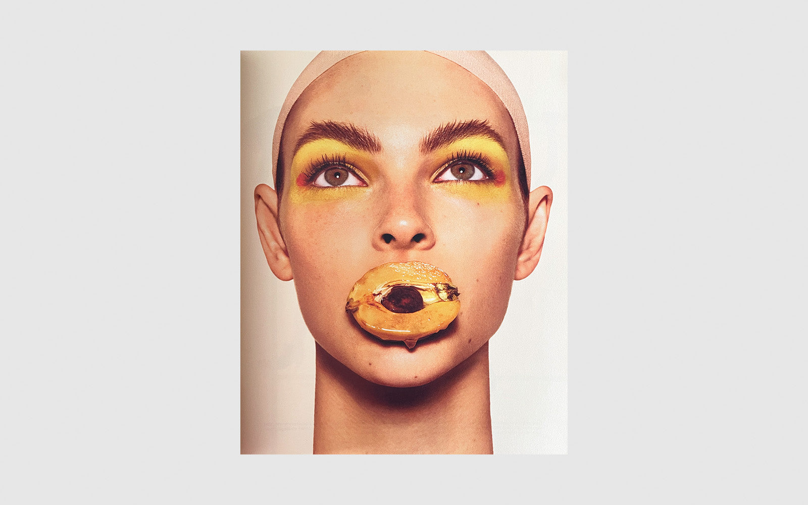 FAW, product: Loewe Issue 1 (Fig. 3)