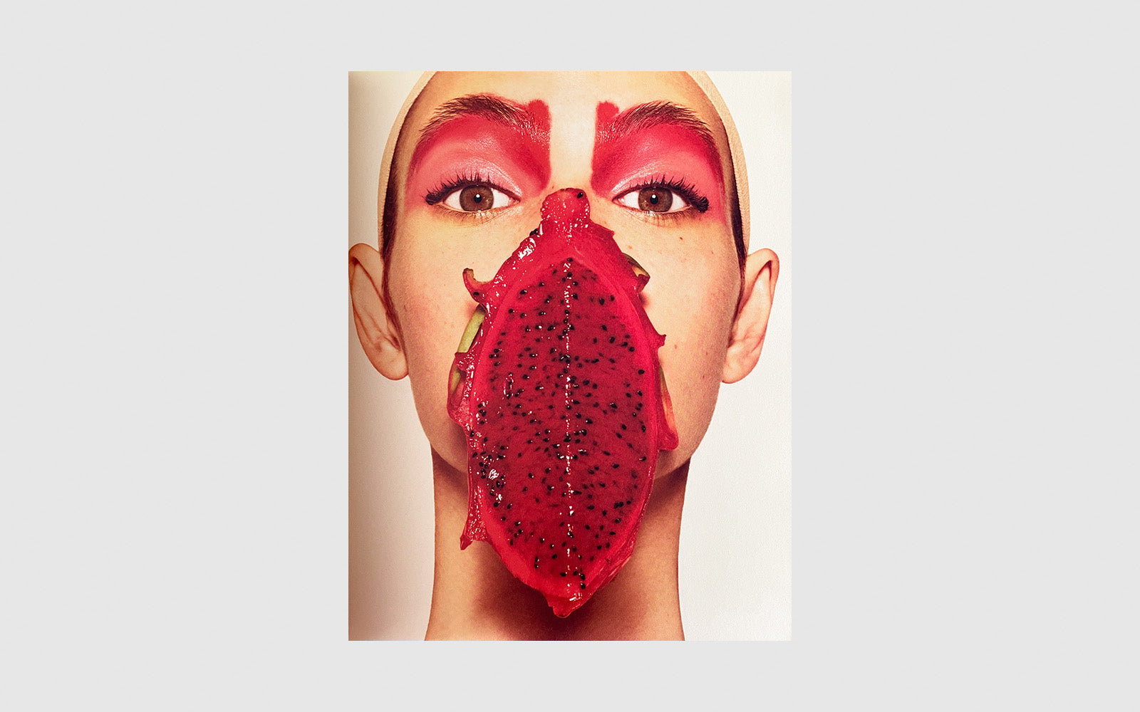 FAW, product: Loewe Issue 1 (Fig. 2)