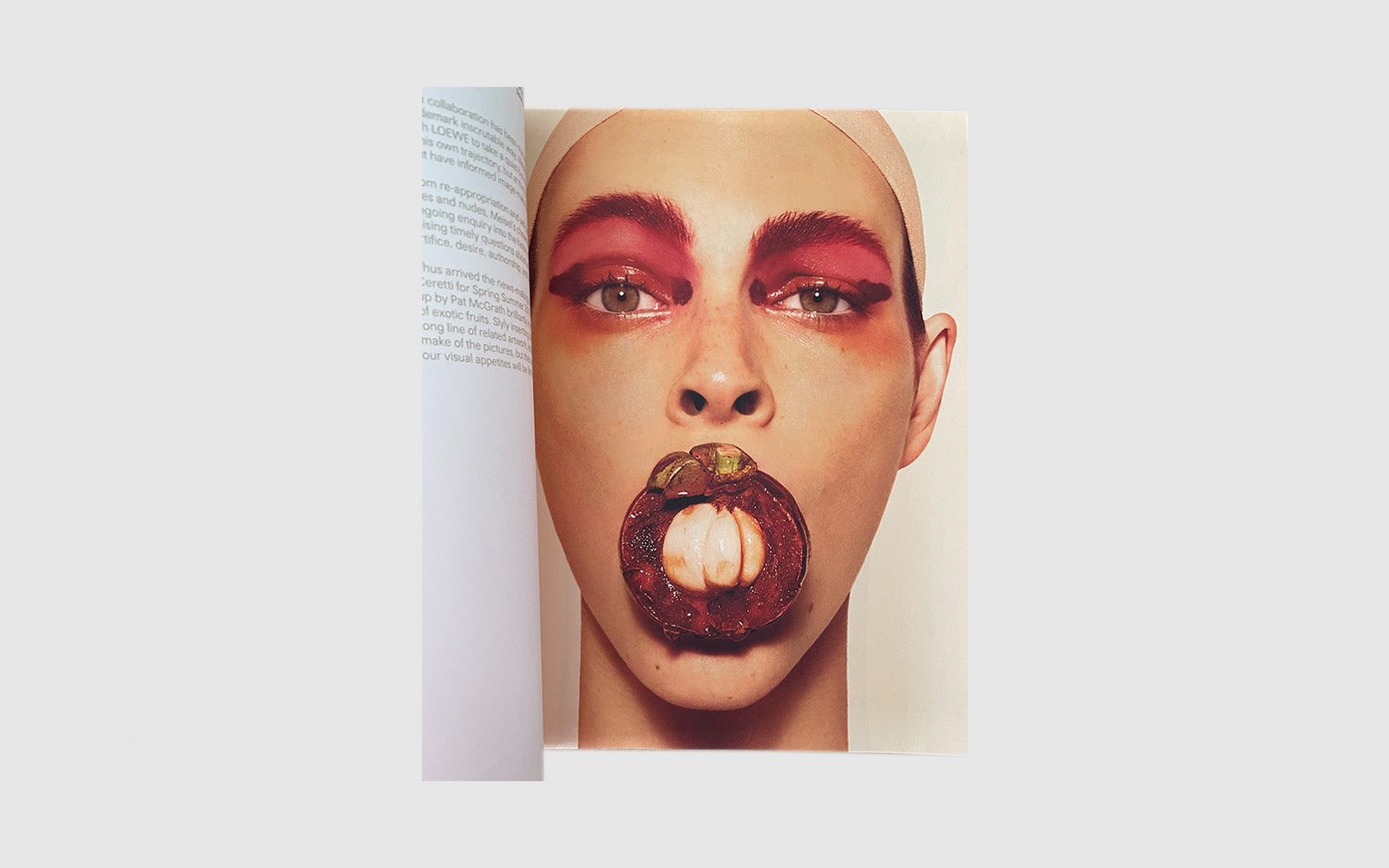 FAW, product: Loewe Issue 1 (Fig. 6)