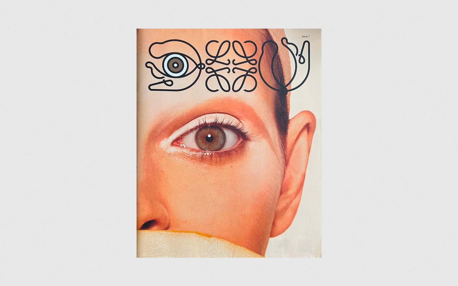 FAW, product: Loewe Issue 1 (Fig. 1)
