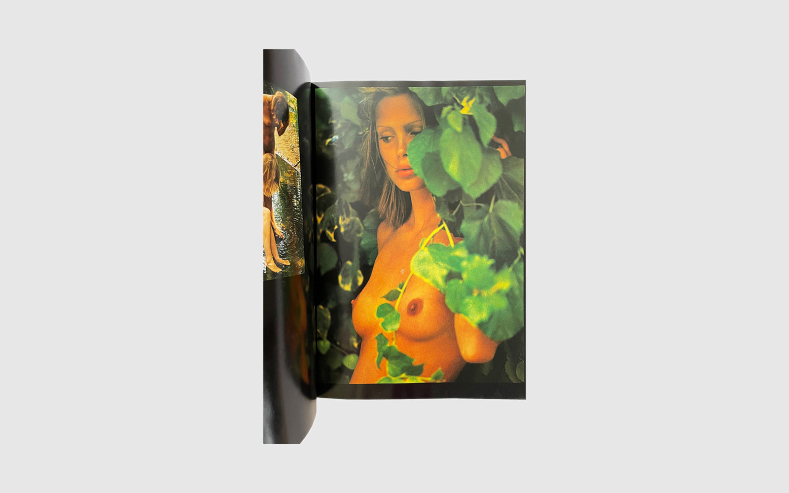 FAW, product: Mädchen in Meinen Augen (Fig. 4)