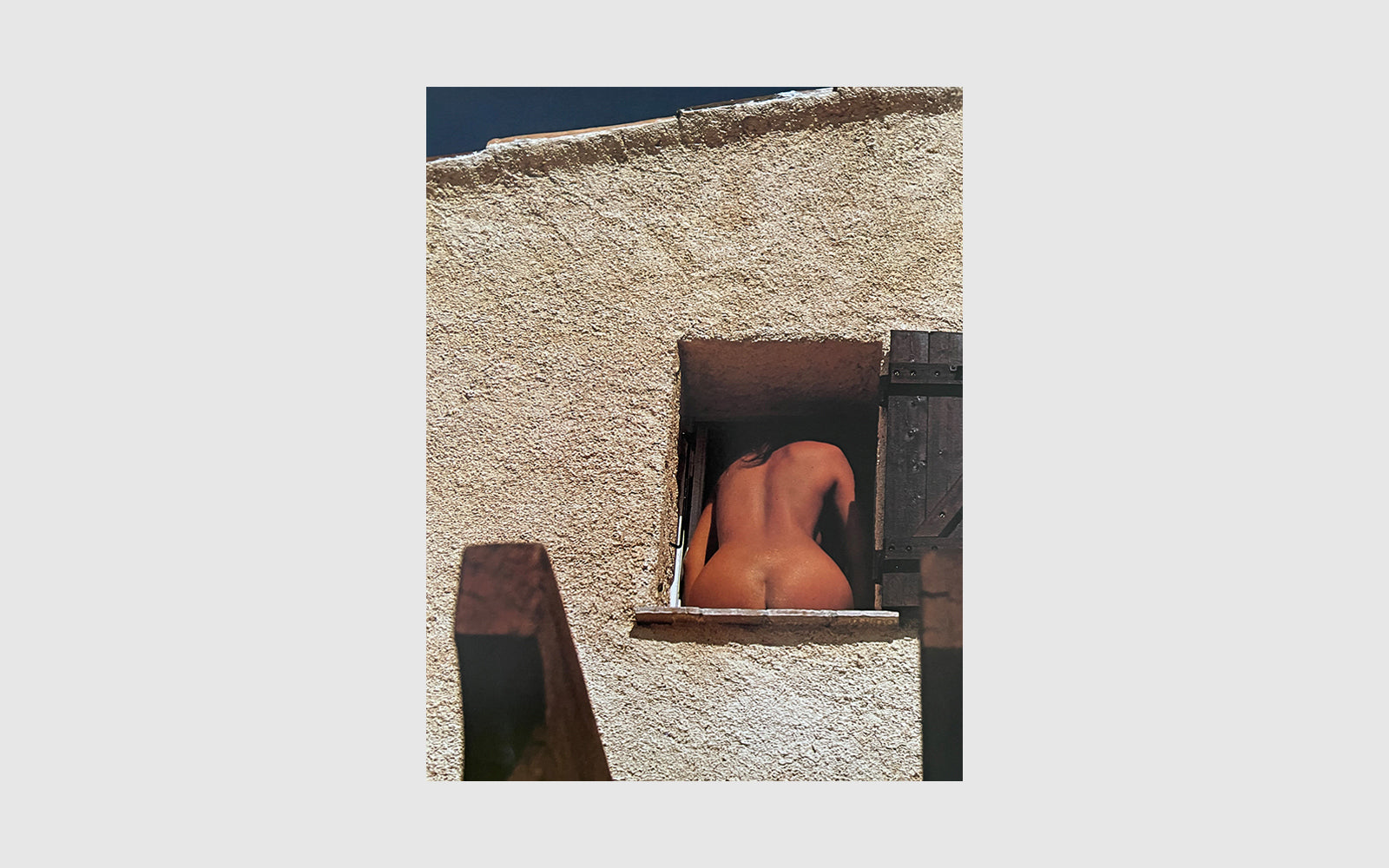 FAW, product: MORE REAR VIEWS (Fig. 8)