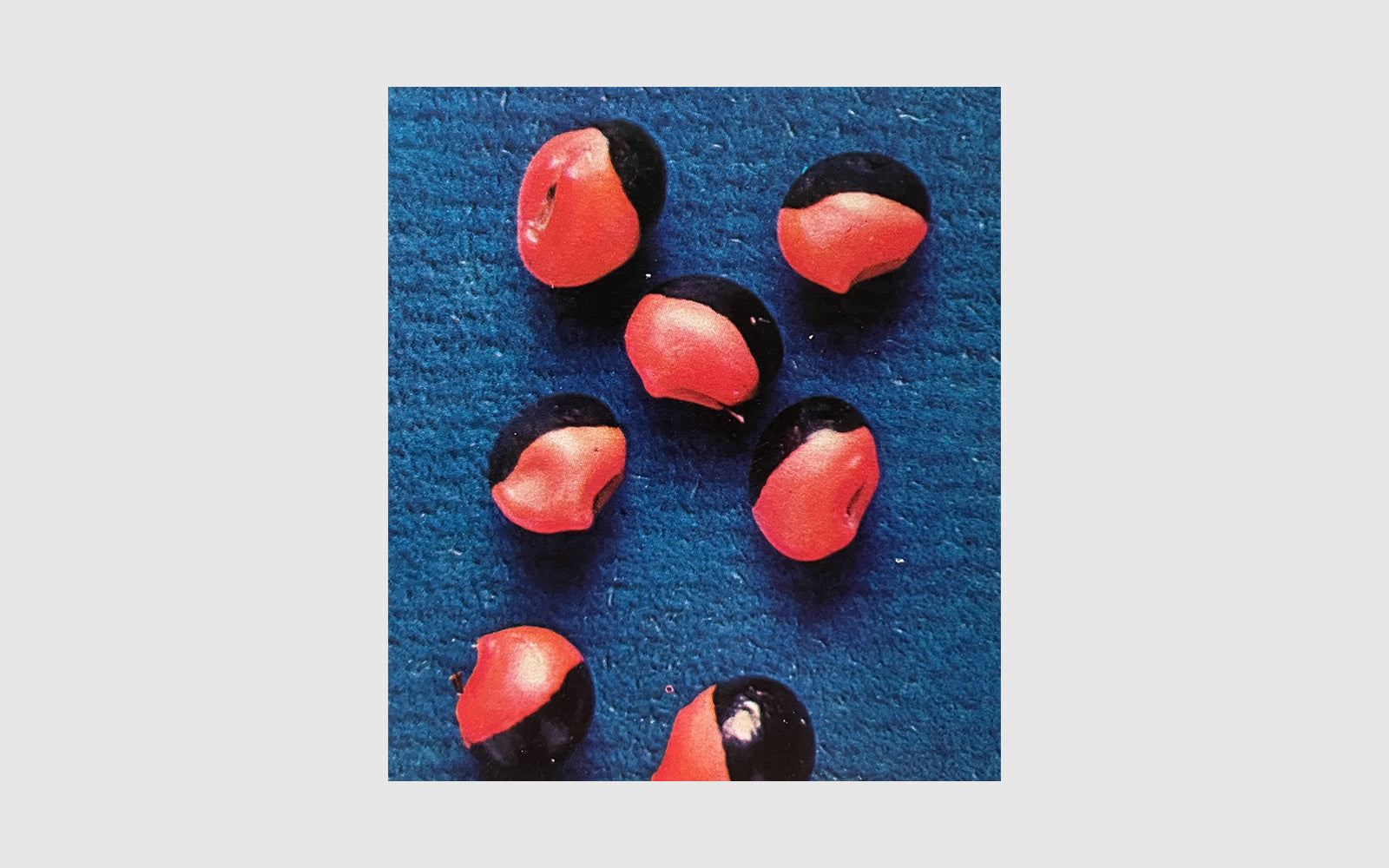 FAW, product: Narcotic Plants (Fig. 4)