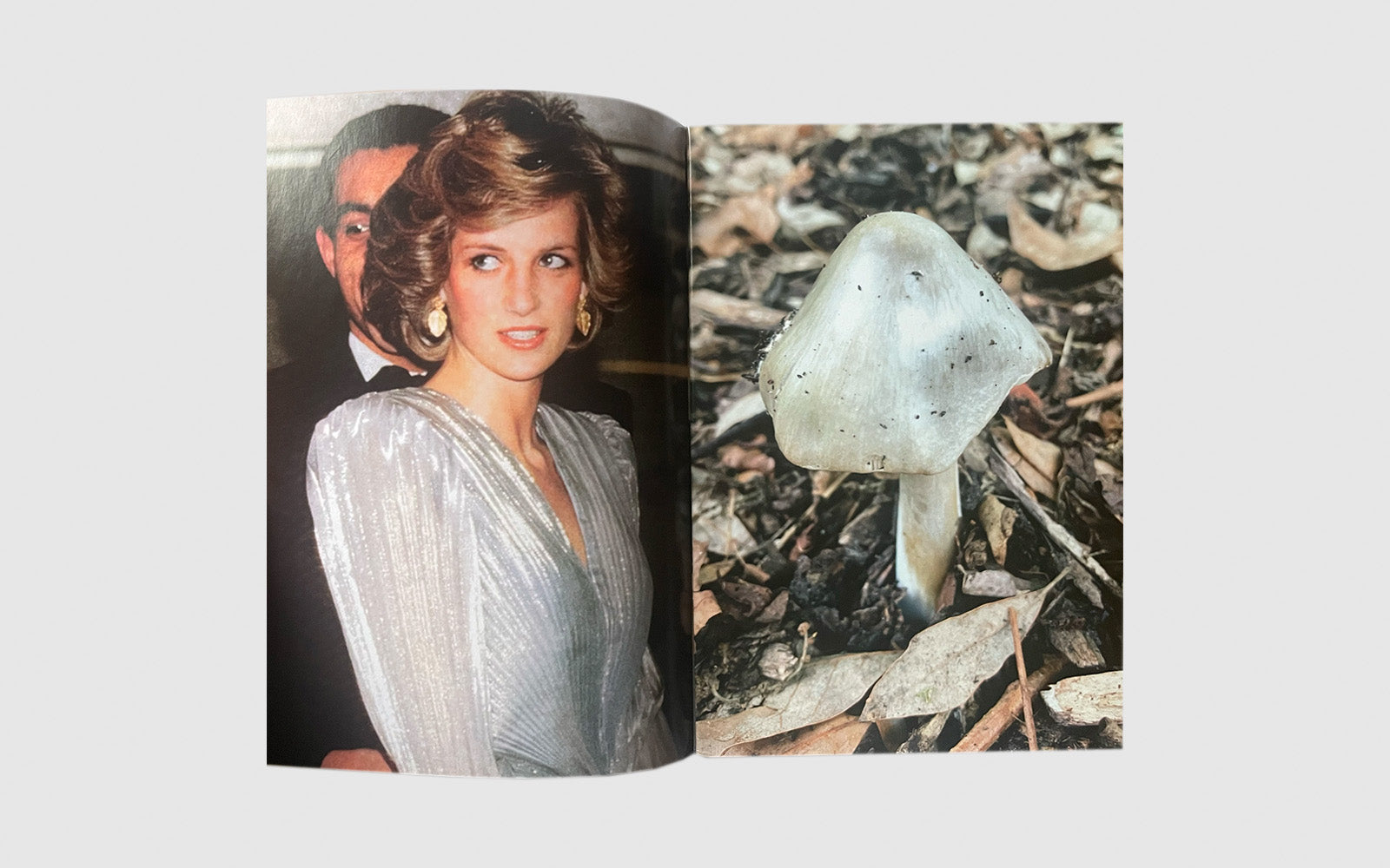FAW, product: Princess Diana as mushrooms Vol. II (Fig. 2)