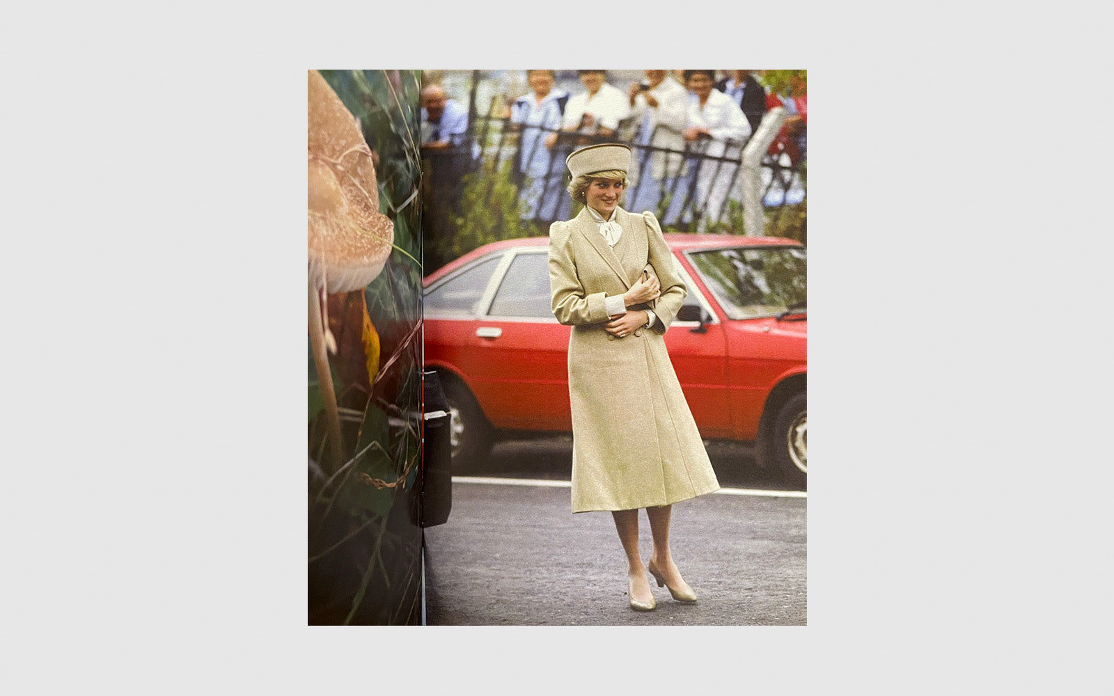 FAW, product: Princess Diana as mushrooms Vol. I (Fig. 5)