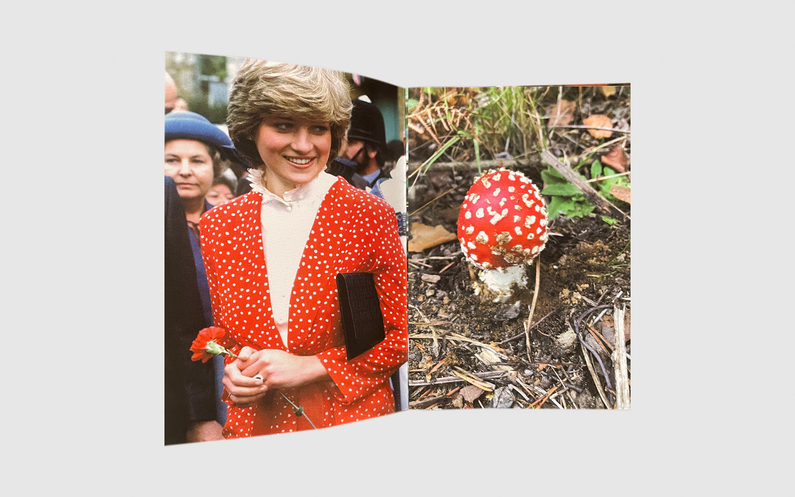 FAW, product: Princess Diana as mushrooms Vol. I (Fig. 2)