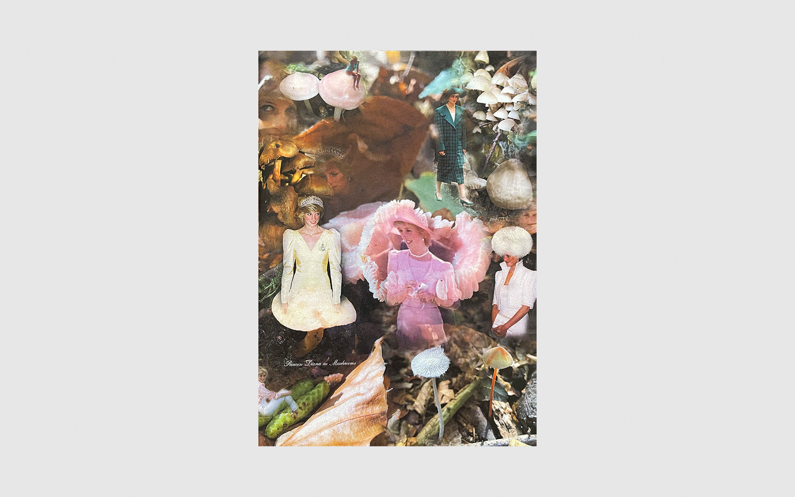 FAW, product: Princess Diana as mushrooms Vol. I (Fig. 1)