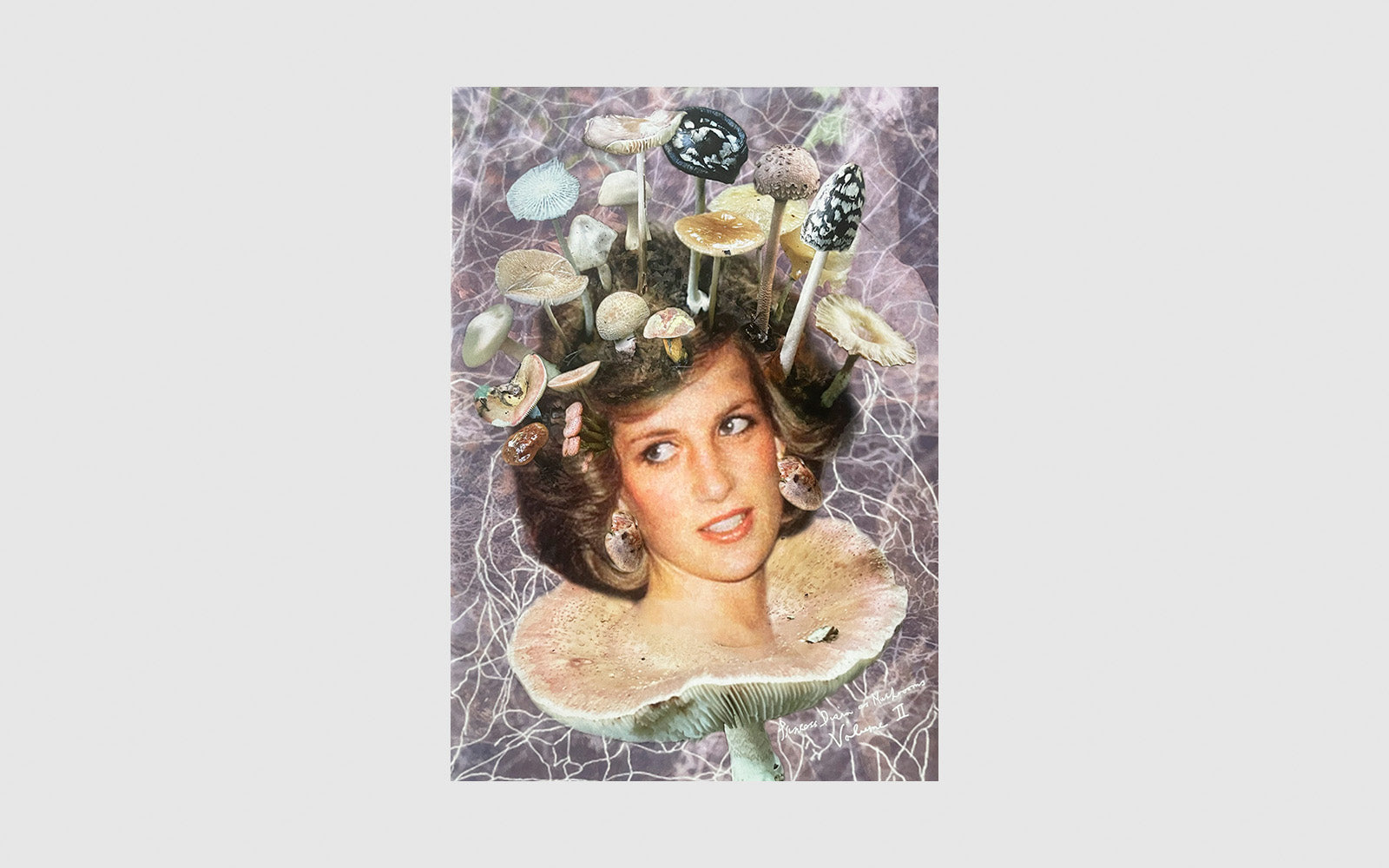 FAW, product: Princess Diana as mushrooms Vol. II (Fig. 1)