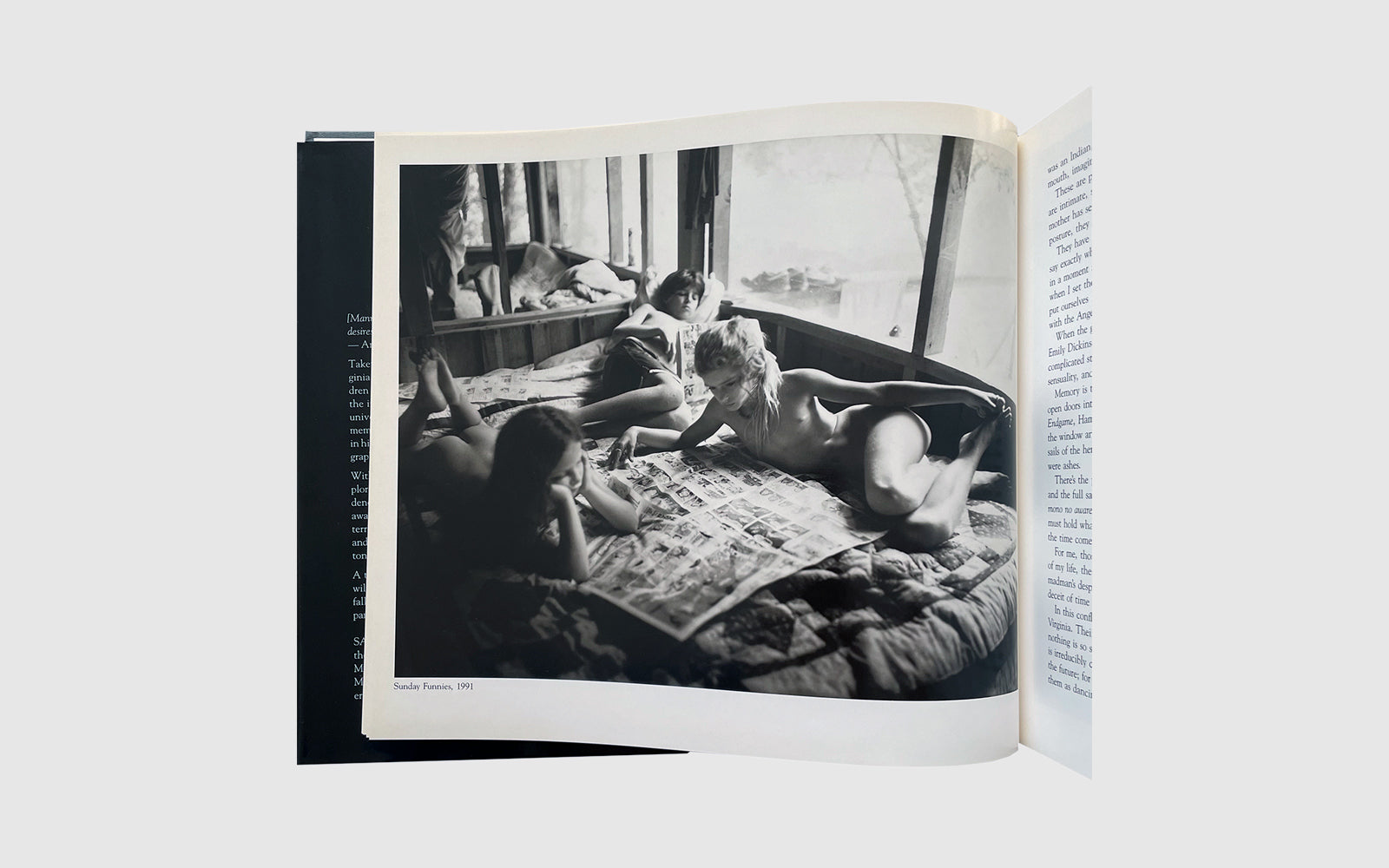 FAW, product: IMMEDIATE FAMILY (Fig. 3)