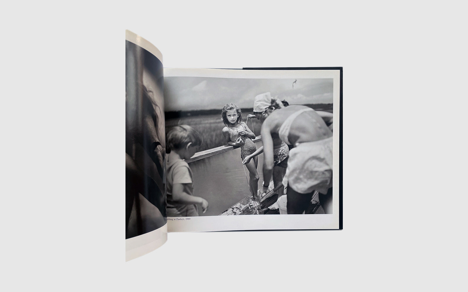 FAW, product: IMMEDIATE FAMILY (Fig. 5)