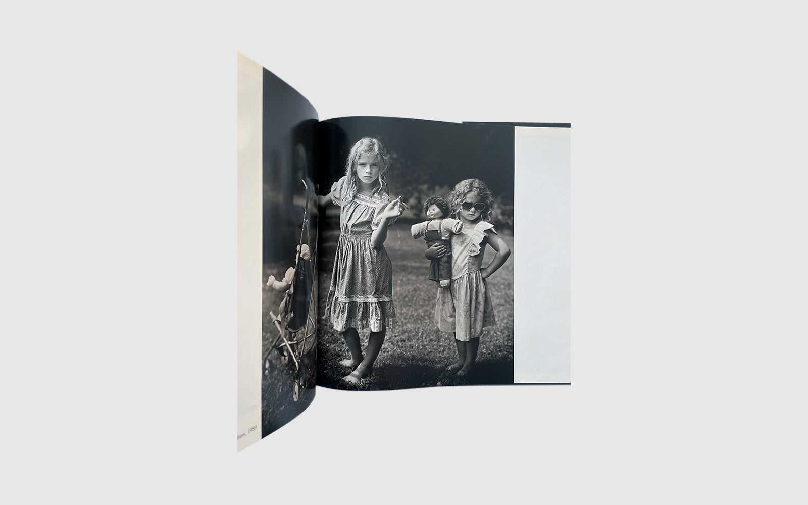 FAW, product: IMMEDIATE FAMILY (Fig. 9)