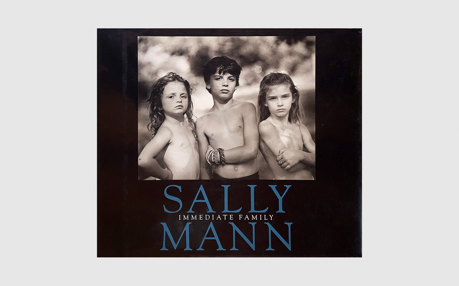 FAW, product: IMMEDIATE FAMILY (Fig. 1)