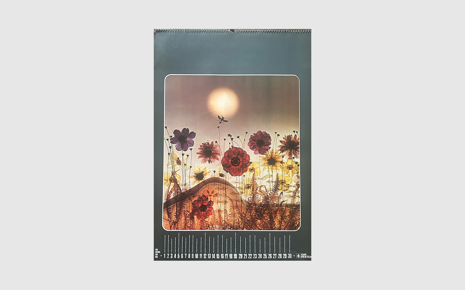 FAW [Sam Haskins 1975 Pentax Calendar - FAW Books]
