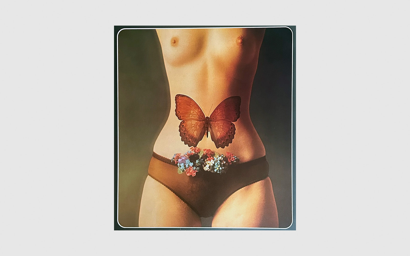 FAW, product: Sam Haskins 1975 Pentax Calendar (Fig. 5)