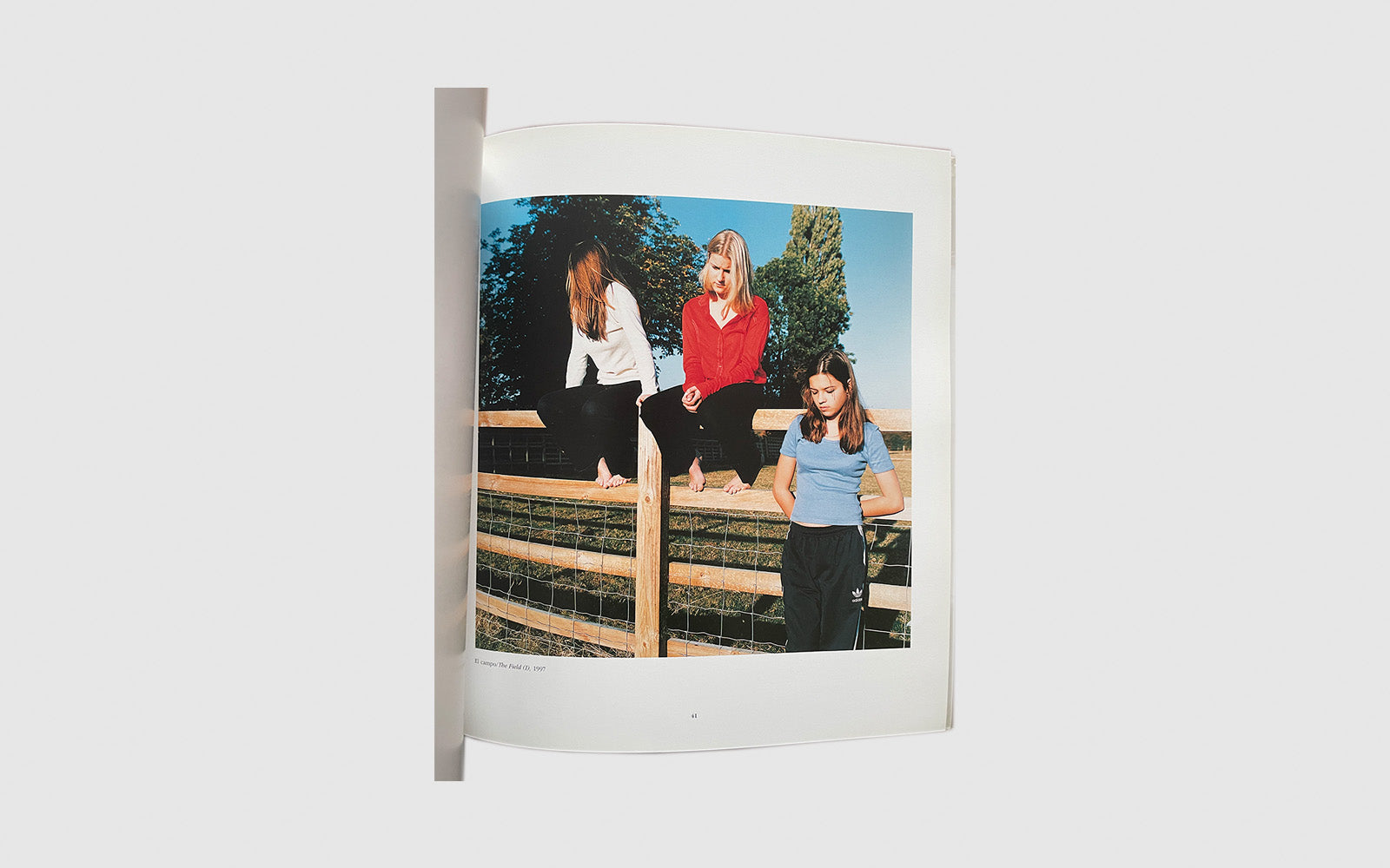 FAW, product: Sarah Jones (Fig. 6)