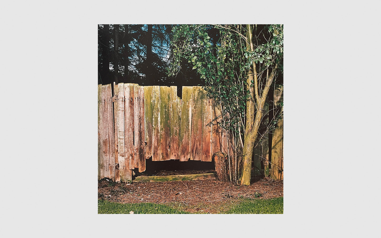 FAW, product: Sarah Jones (Fig. 4)