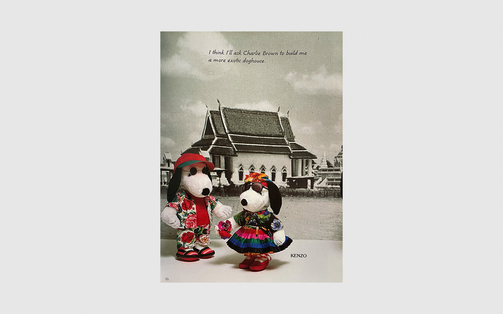 FAW, product: Snoopy around the world (Fig. 6)