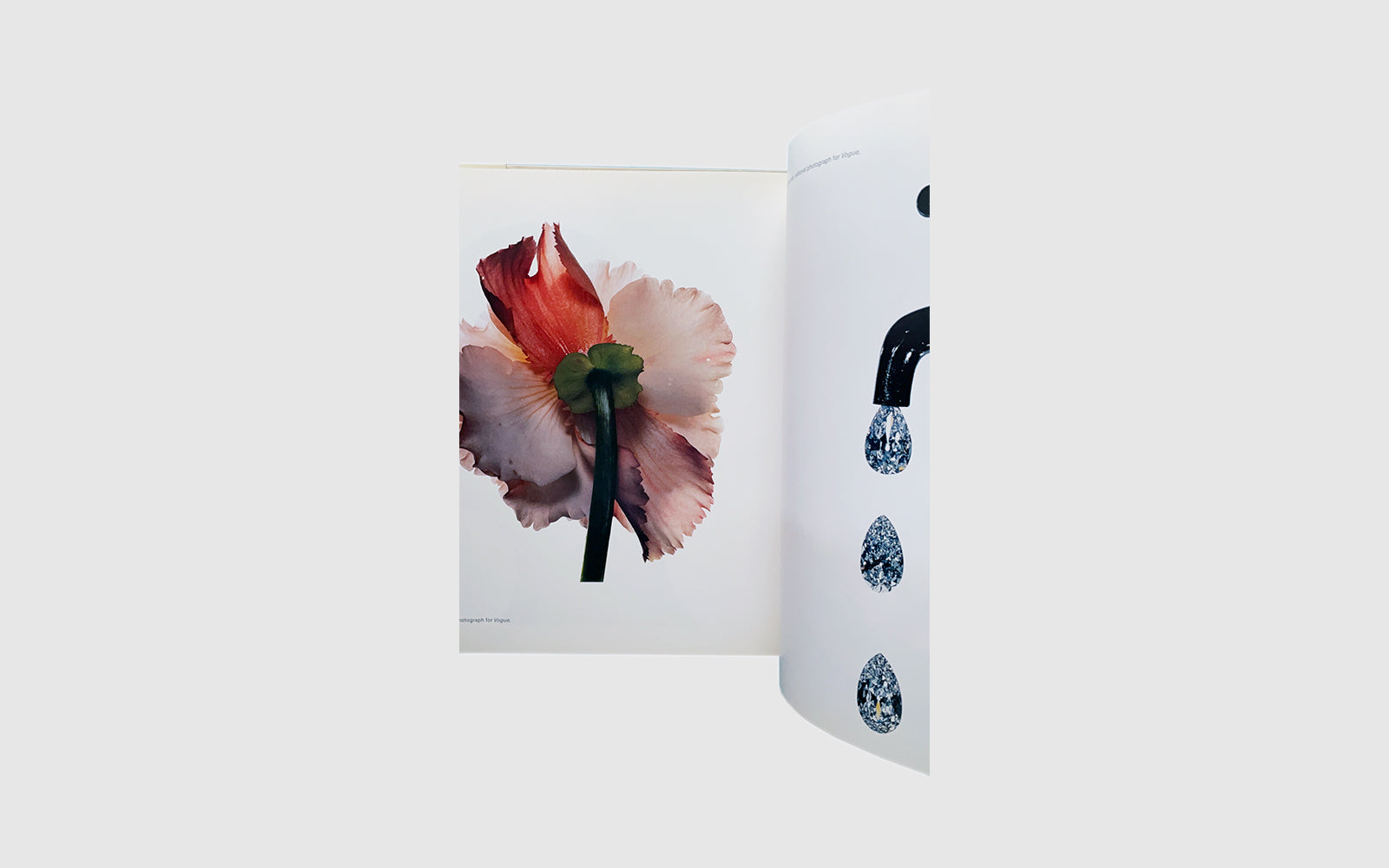 FAW, product: Still Life (Fig. 3)