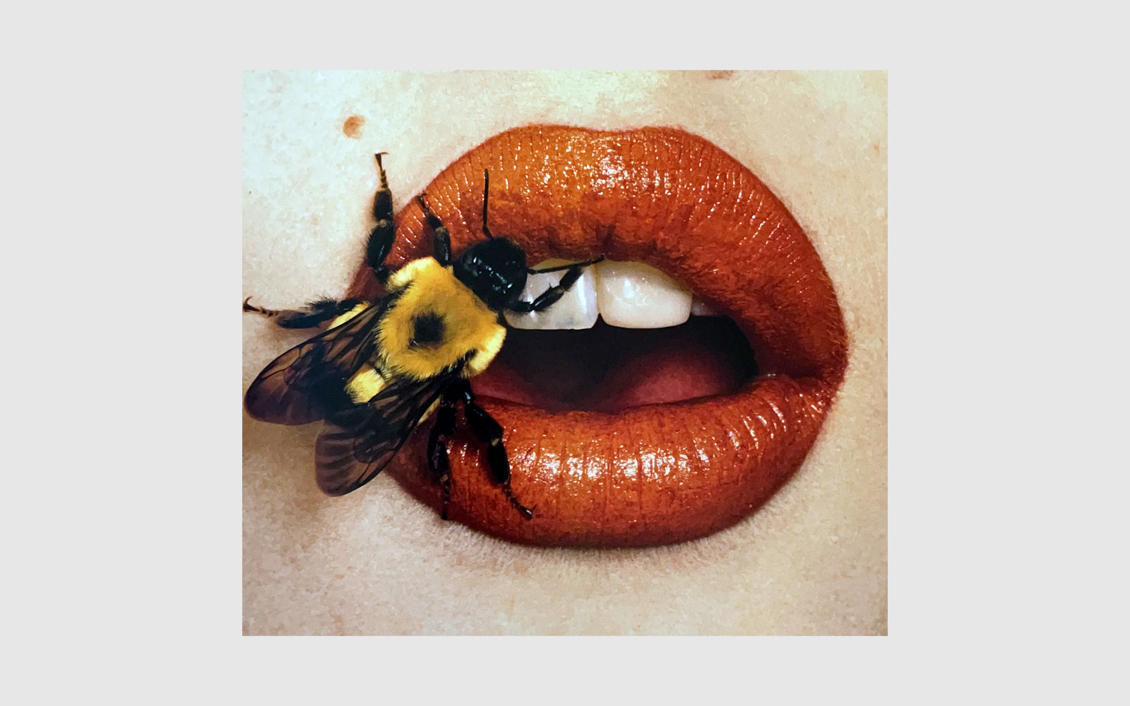 FAW, product: Still Life (Fig. 4)