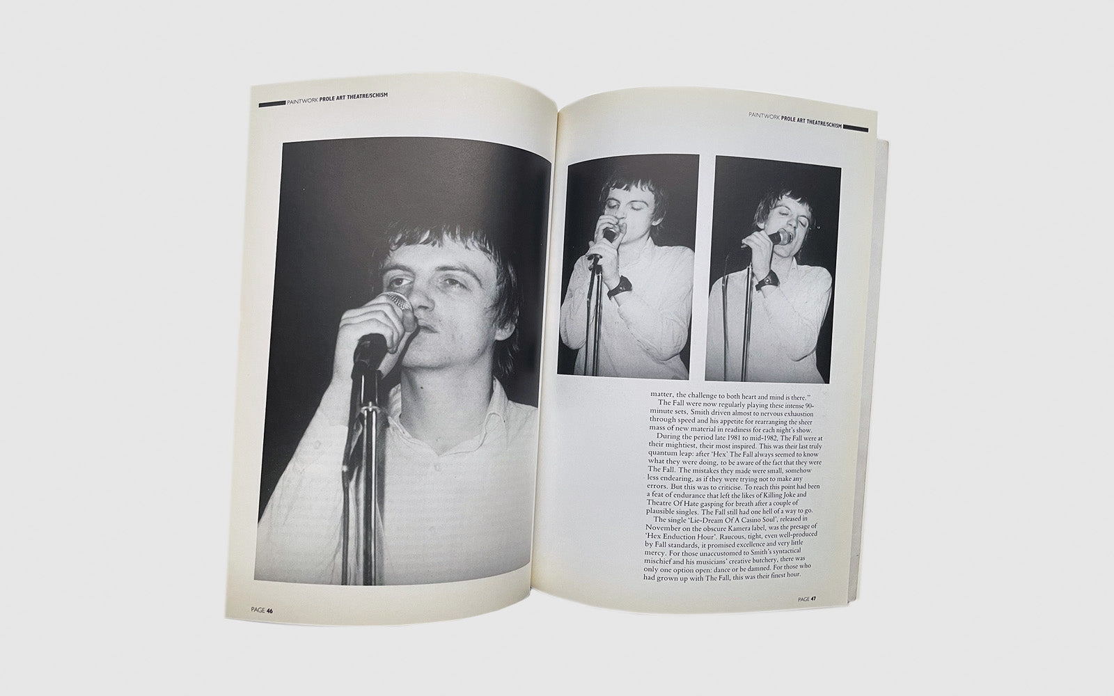 FAW, product: A portrait of The Fall (Fig. 6)